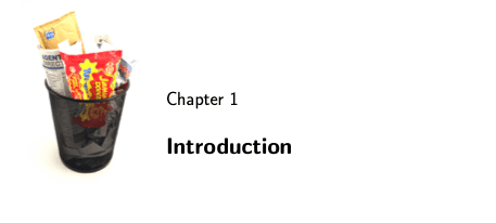 Six Myths and Paradoxes of Garbage Collection - MSc Thesis