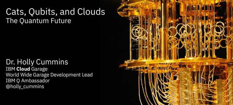 Cats, Qubits, and Clouds - The Quantum Future