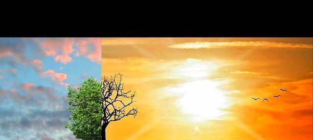 Want to Save the World? Start by Cutting Your Cloud Costs