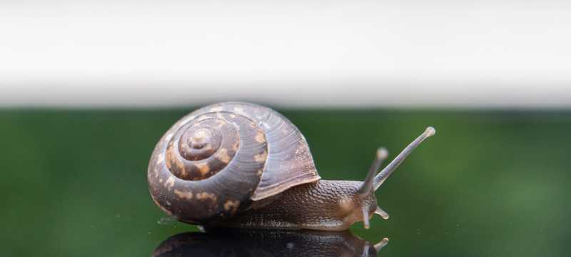 How do you solve a performance problem?