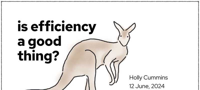 Is efficiency a good thing?