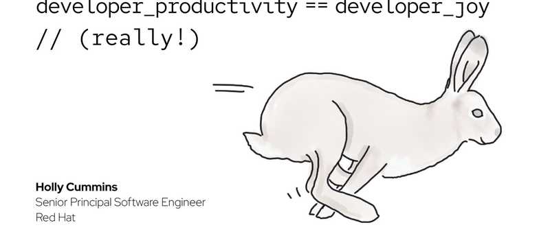 Developer Joy == Developer Productivity (really!)