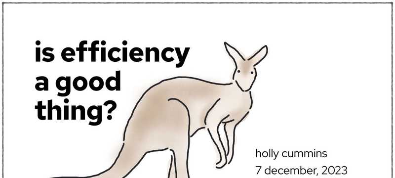 Is efficiency a good thing?