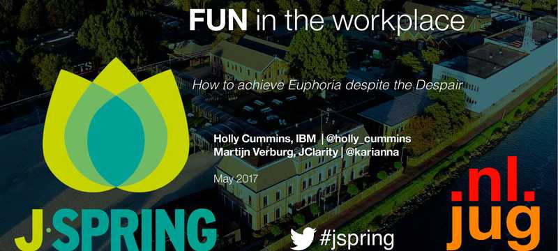 Software Developers Guide to Fun in the Workplace: Euphoria Despite the Despair